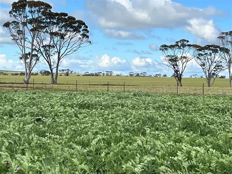 Fourth view of Homely rural property listing, . 'Gardens' Part, Shackleton WA 6386