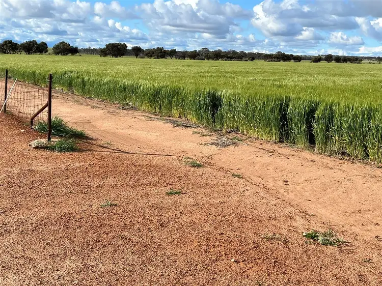 Sixth view of Homely rural property listing, . 'Gardens' Part, Shackleton WA 6386
