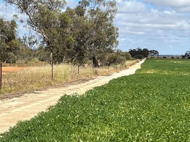 Third view of Homely rural property listing, . 'Solitude Farm', Trayning WA 6488