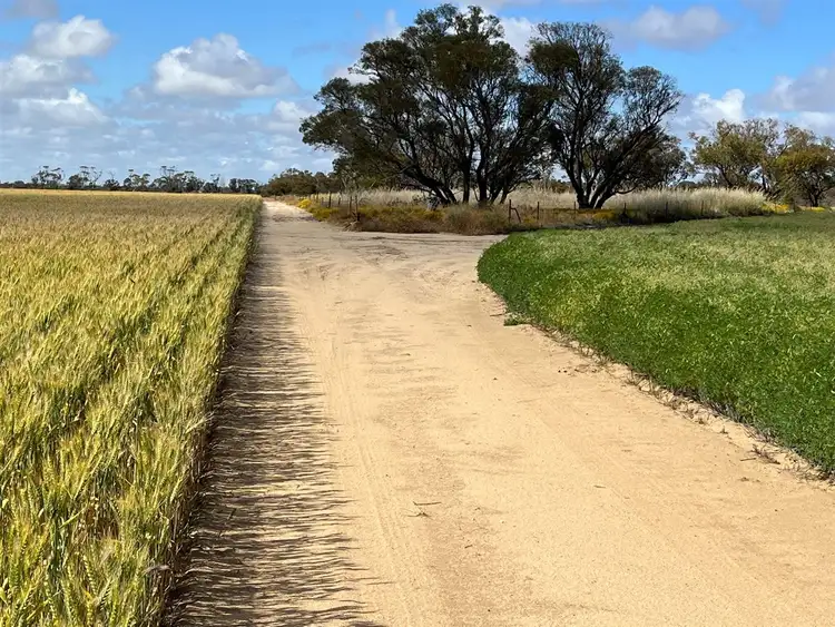 Fourth view of Homely rural property listing, . 'Solitude Farm', Trayning WA 6488