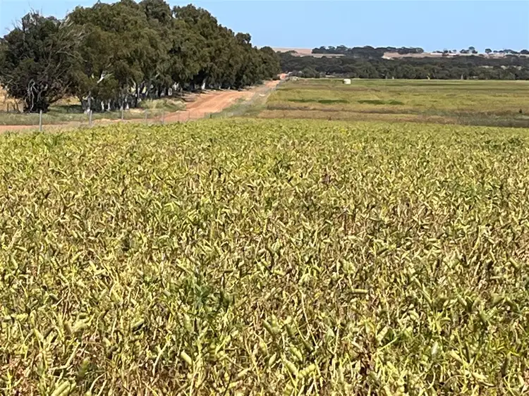 . Kromana Avalon, Cunderdin WA 6407