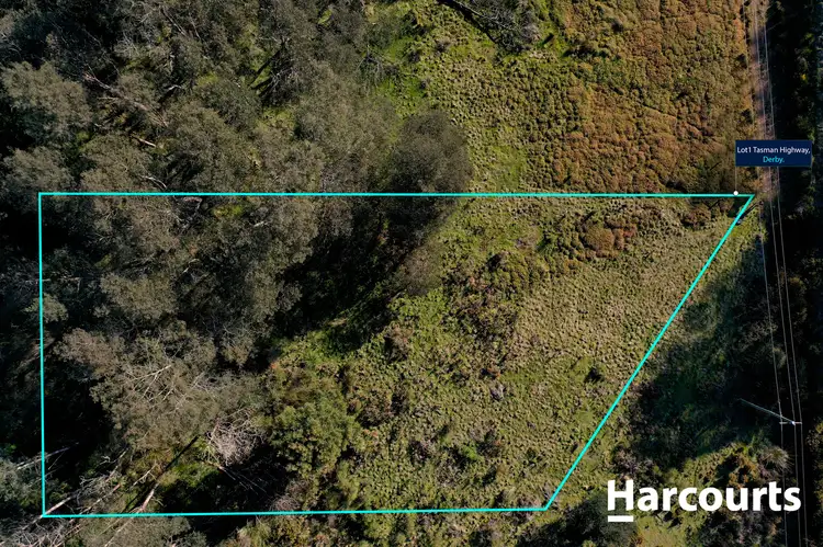Second view of Homely land listing, Lot 1 Tasman Highway, Derby TAS 7264