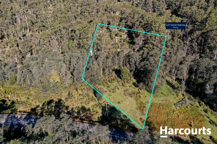 Third view of Homely land listing, Lot 1 Tasman Highway, Derby TAS 7264