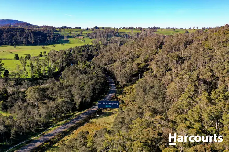 Fifth view of Homely land listing, Lot 1 Tasman Highway, Derby TAS 7264