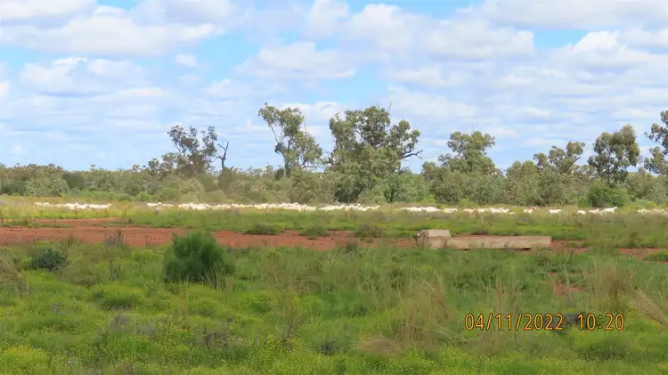 Seventh view of Homely rural property listing, Lyndhurst 2488 Wilga Road, Cobar NSW 2835