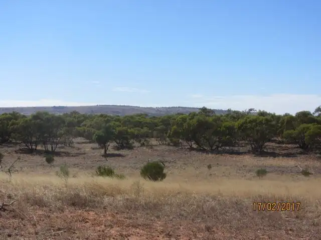 Fifth view of Homely rural property listing, * Mount Kew, Wilcannia NSW 2836