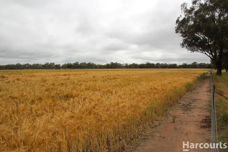 Fifth view of Homely rural property listing, CA 42, 42a & 43 Horsham - Noradjuha Road, Lower Norton VIC 3401
