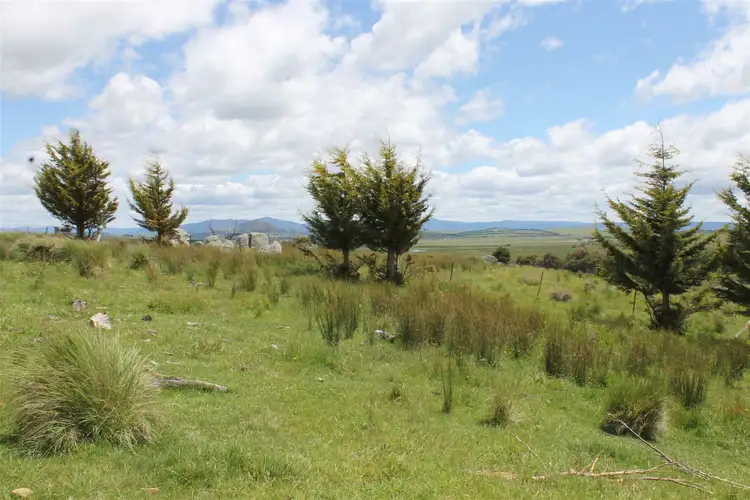 Fifth view of Homely rural property listing, 746 Little River Road, Braidwood NSW 2622
