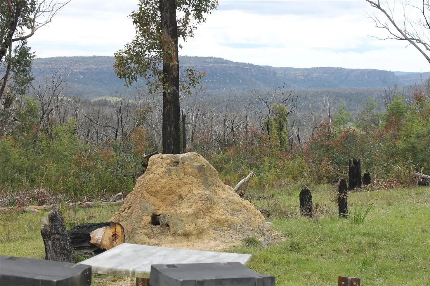 Main view of Homely rural property listing, 352 Endrick River Road, Braidwood NSW 2622