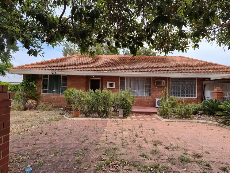 Sixth view of Homely house listing, 145 Banksia Street, Tuart Hill WA 6060