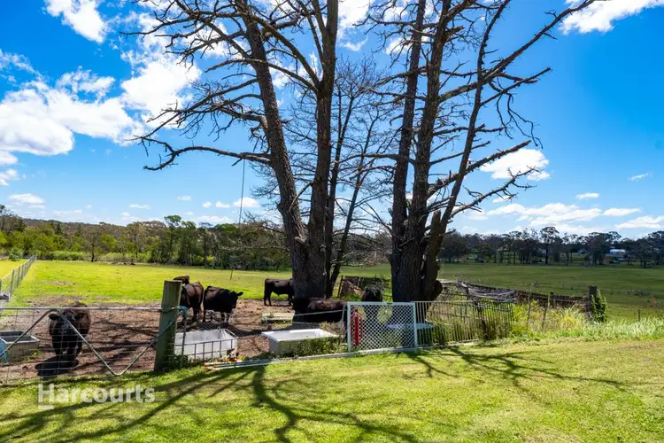 Second view of Homely rural property listing, 2524 Wisemans Ferry Road, Mangrove Mountain NSW 2250