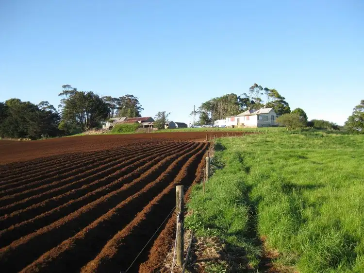 Third view of Homely rural property listing, 265 Myalla Road, Myalla TAS 7325