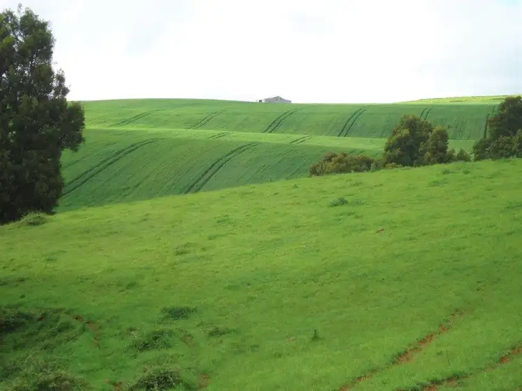Fourth view of Homely rural property listing, 265 Myalla Road, Myalla TAS 7325