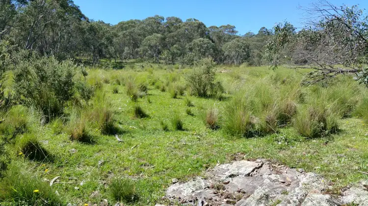 Seventh view of Homely rural property listing, 200 Jerrabatgulla Road, Braidwood NSW 2622