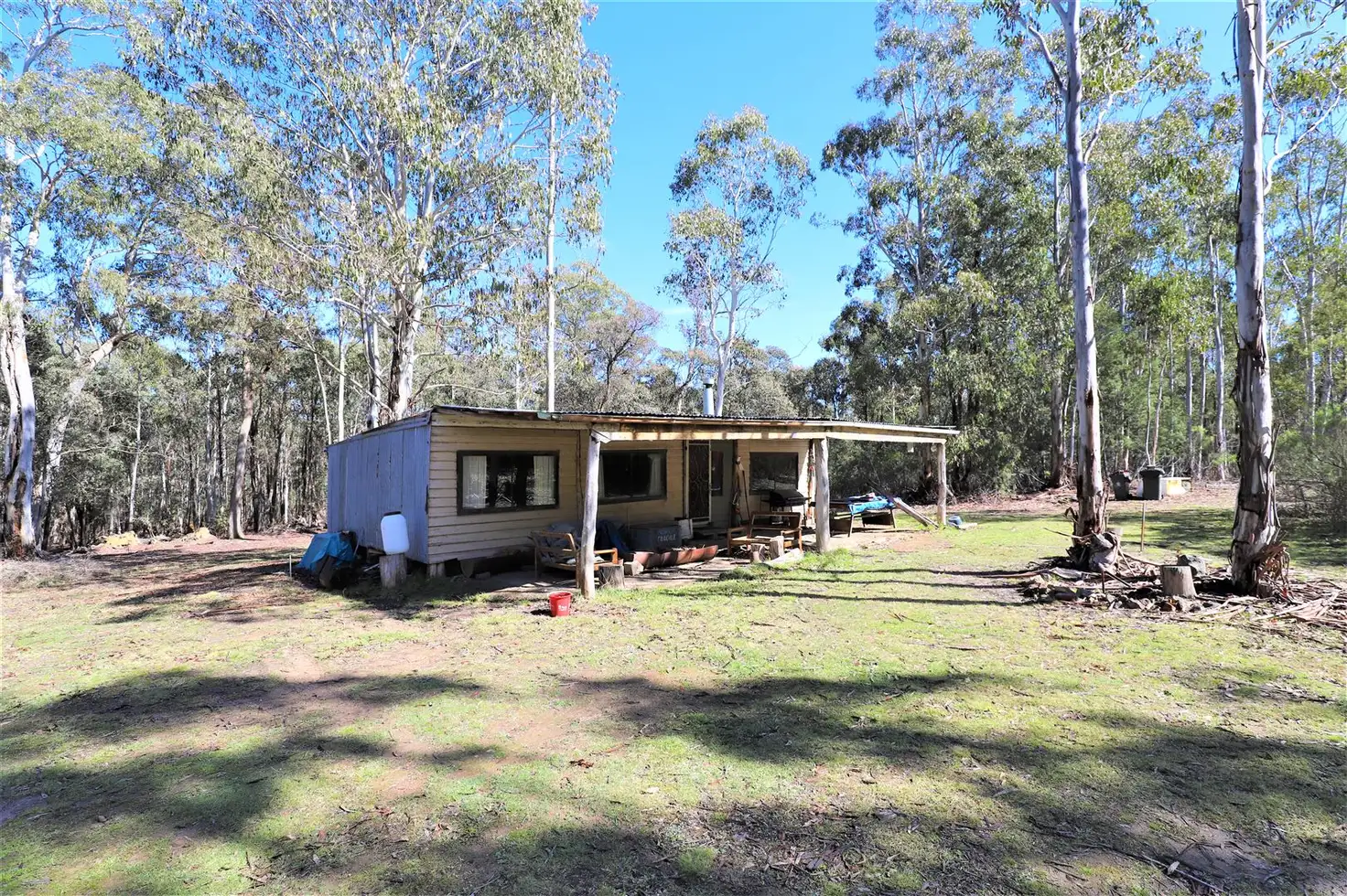 Main view of Homely rural property listing, 246 Clarkesville Road, Bendoc VIC 3888