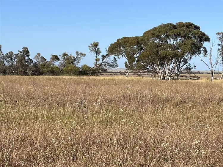 . Lot 226 Mulji Road, Koorda WA 6475