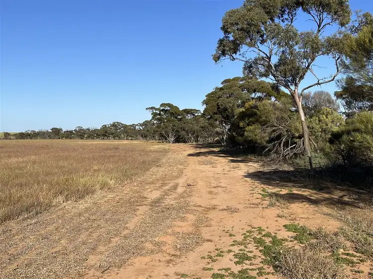 Third view of Homely rural property listing, . Lot 226 Mulji Road, Koorda WA 6475