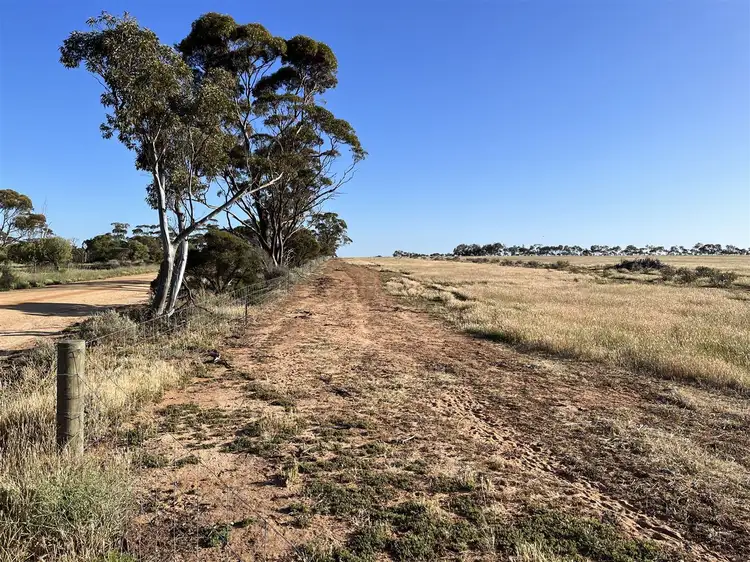 Fourth view of Homely rural property listing, . Lot 226 Mulji Road, Koorda WA 6475