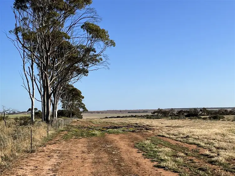 Fifth view of Homely rural property listing, . Lot 226 Mulji Road, Koorda WA 6475