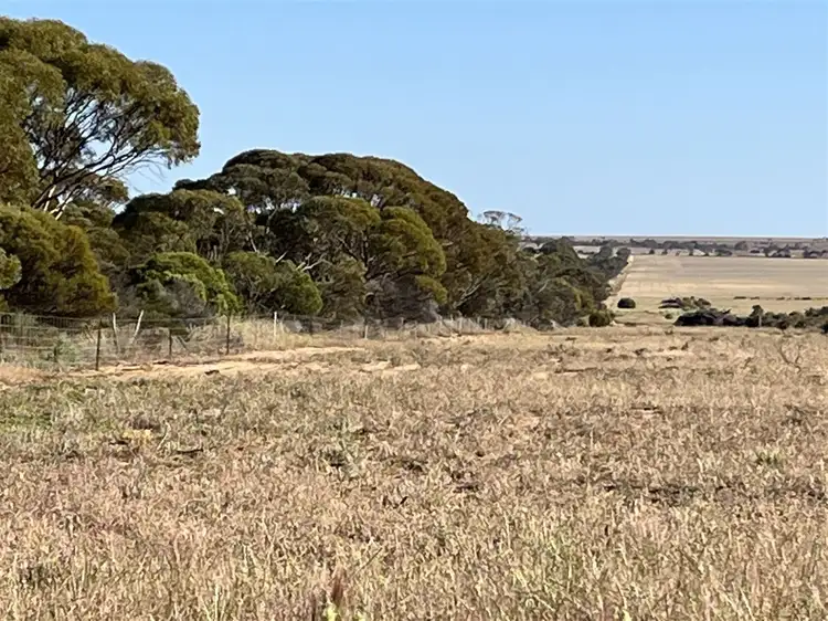 Sixth view of Homely rural property listing, . Lot 226 Mulji Road, Koorda WA 6475