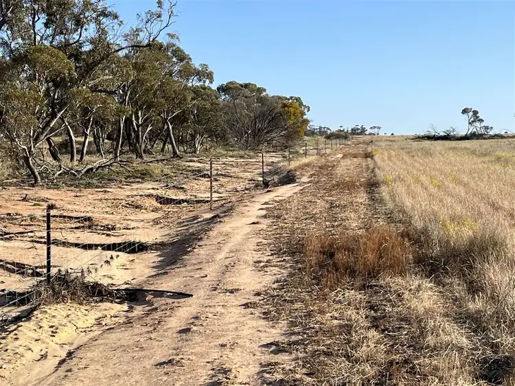Seventh view of Homely rural property listing, . Lot 226 Mulji Road, Koorda WA 6475