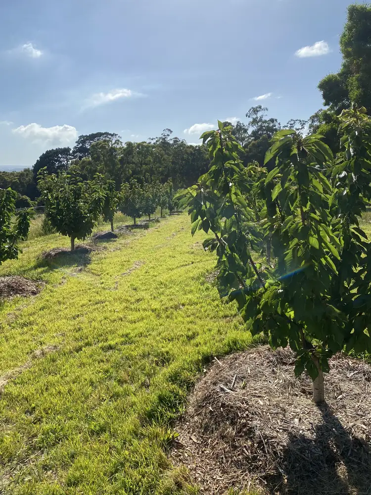 Seventh view of Homely land listing, 131 Wirraway Street, Moe VIC 3825
