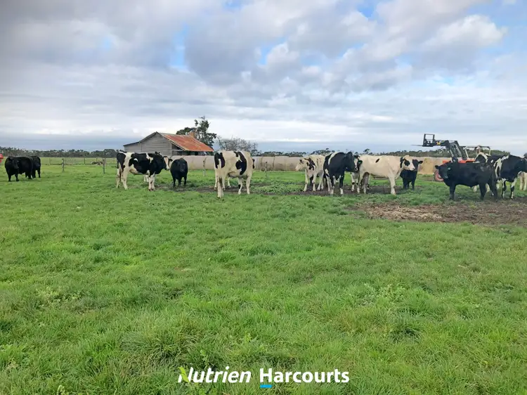 Sixth view of Homely rural property listing, CA 16 Old Manns Beach Road, Tarraville VIC 3971