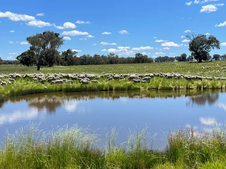 Fifth view of Homely rural property listing, Lot 992 Holbrook Wagga Road, Cookardinia NSW 2650