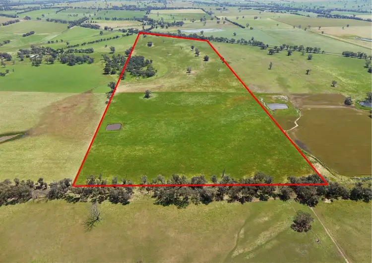 Sixth view of Homely rural property listing, Lot 992 Holbrook Wagga Road, Cookardinia NSW 2650