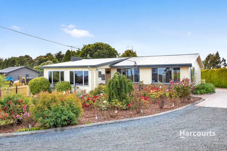 645 Ridgley Highway, Ridgley TAS 7321