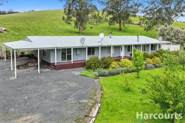 195 Beards Track, Shady Creek VIC 3821