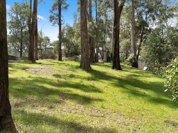 Third view of Homely land listing, 8 Man Court, Sawmill Settlement VIC 3723