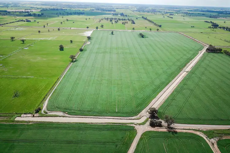 Fourth view of Homely rural property listing, 86 Naring Hall Road, Numurkah VIC 3636
