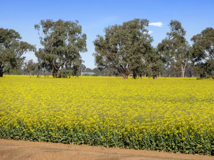 Seventh view of Homely rural property listing, 86 Naring Hall Road, Numurkah VIC 3636