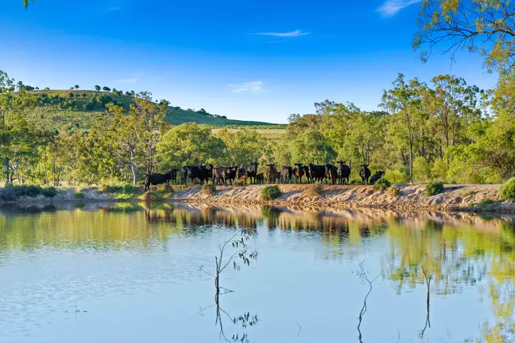 Main view of Homely rural property listing, 132 Kilburnie Mount Darry Road, Goombungee QLD 4354