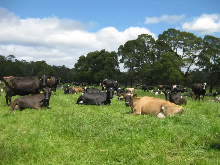 Main view of Homely rural property listing, 500 Poilinna Road, Edith Creek TAS 7330