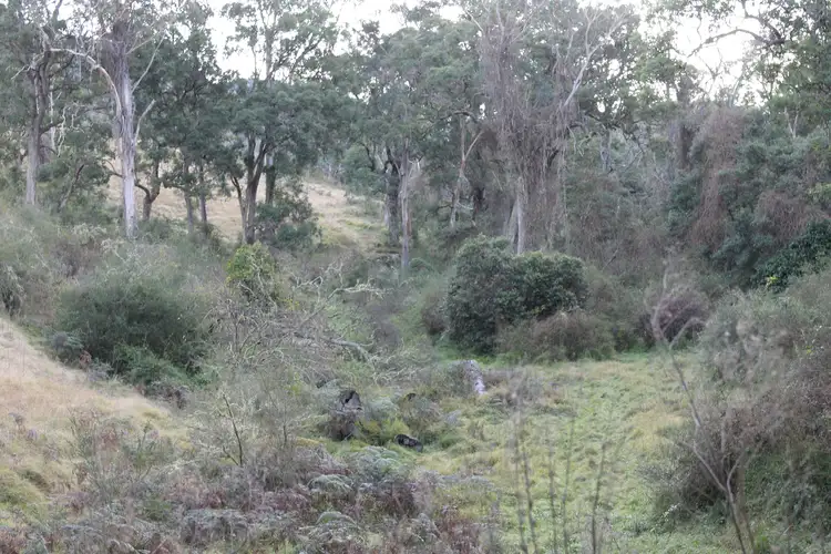 Fifth view of Homely rural property listing, Lot 2 Off Neringla Road, Braidwood NSW 2622