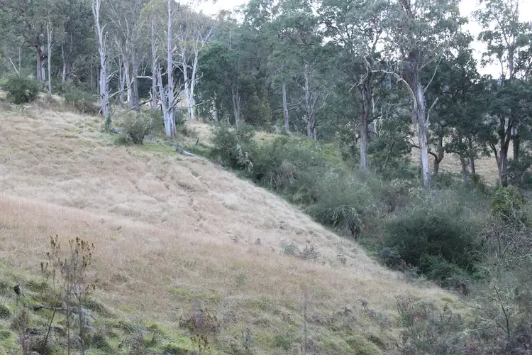 Sixth view of Homely rural property listing, Lot 2 Off Neringla Road, Braidwood NSW 2622
