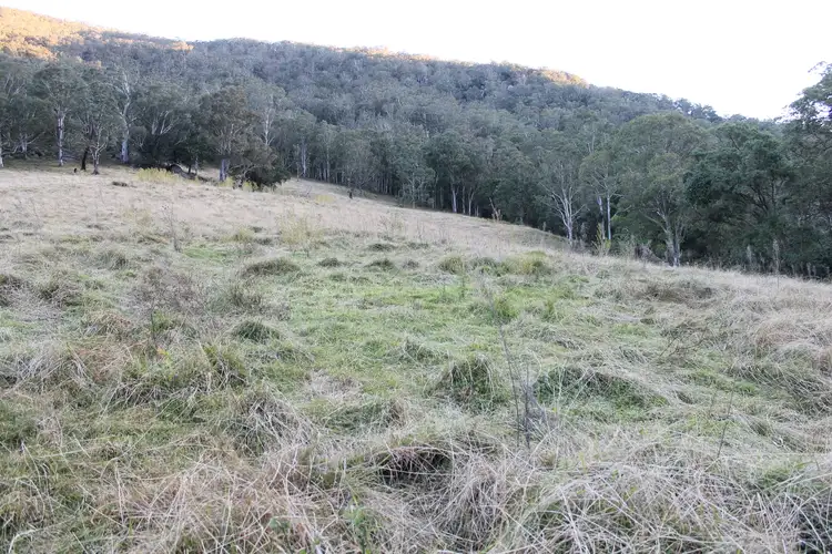Seventh view of Homely rural property listing, Lot 2 Off Neringla Road, Braidwood NSW 2622