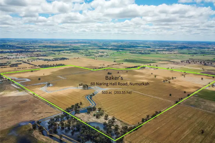 Main view of Homely rural property listing, 258 Naring Hall Road, Numurkah VIC 3636