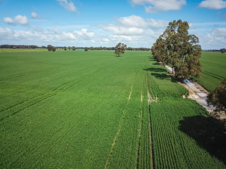 Third view of Homely rural property listing, 258 Naring Hall Road, Numurkah VIC 3636