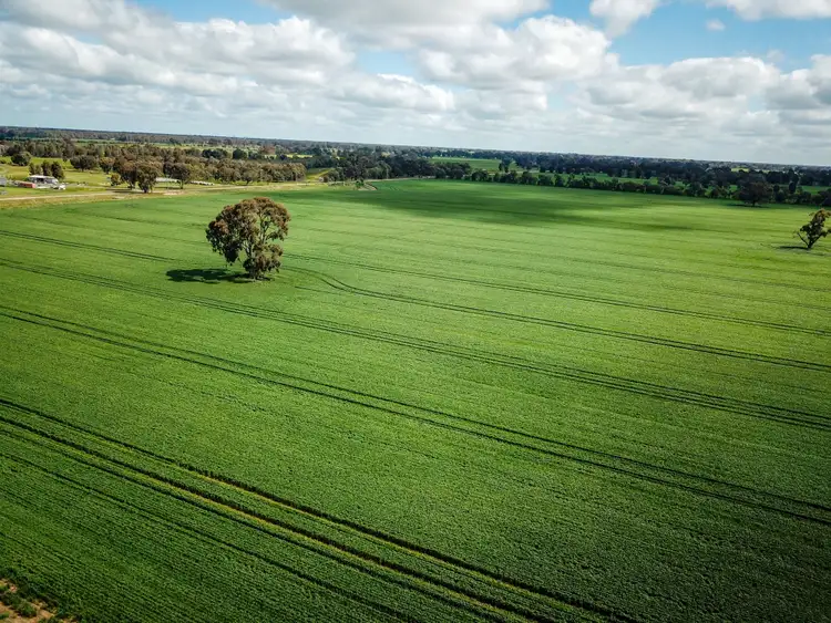Fourth view of Homely rural property listing, 258 Naring Hall Road, Numurkah VIC 3636
