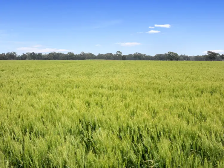 Seventh view of Homely rural property listing, 693 Lukies Road, Naring VIC 3636