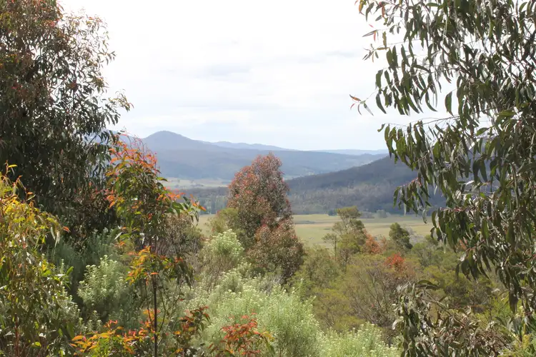 Lot 1 & 2, 223 Kain Road, Braidwood NSW 2622