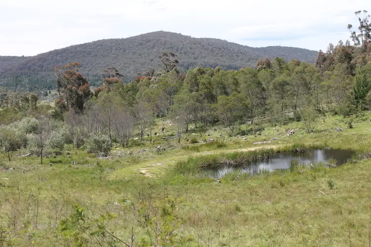 Fourth view of Homely rural property listing, Lot 1 & 2, 223 Kain Road, Braidwood NSW 2622
