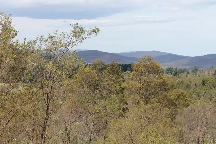 Fifth view of Homely rural property listing, Lot 1 & 2, 223 Kain Road, Braidwood NSW 2622