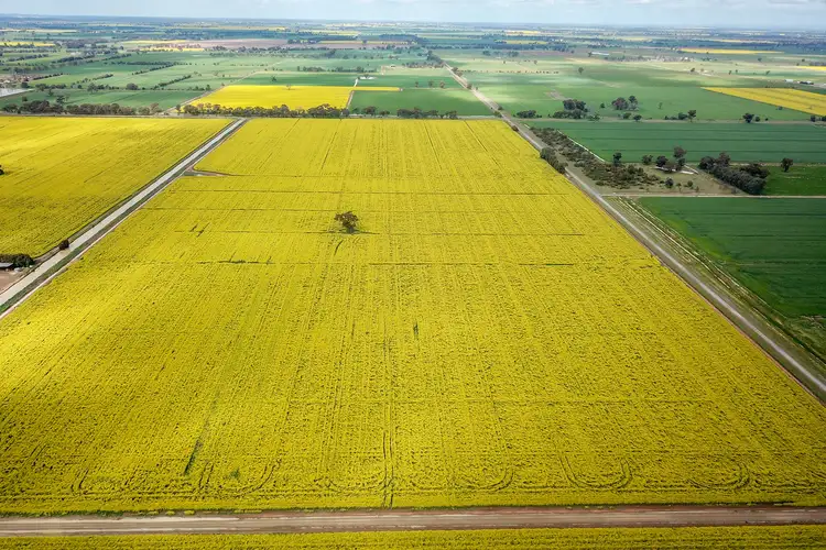 Fifth view of Homely rural property listing, 348 Mills Road, Naring VIC 3636