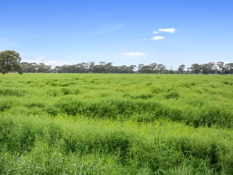 Sixth view of Homely rural property listing, 348 Mills Road, Naring VIC 3636