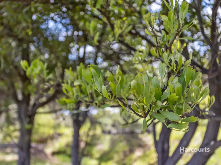 Seventh view of Homely land listing, LOT 1, 177 Malcolms Hut Road, Richmond TAS 7025
