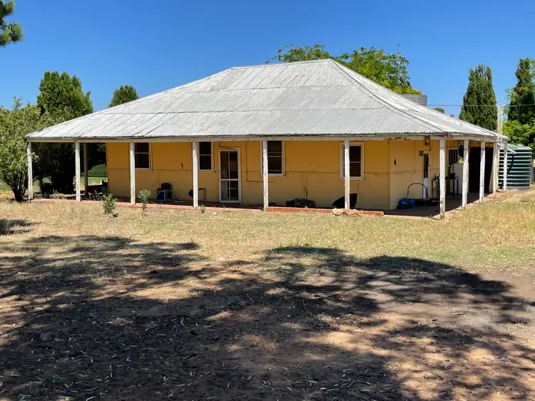 Second view of Homely rural property listing, 195 Broughtons Lane, Yerong Creek NSW 2642
